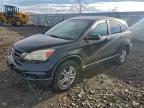 Lot #3312425626 2010 HONDA CR-V EX
