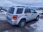 Lot #3308606491 2011 FORD ESCAPE XLT