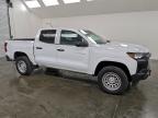 Lot #3312526609 2024 CHEVROLET COLORADO