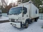 Lot #3309347974 2020 ISUZU FTR
