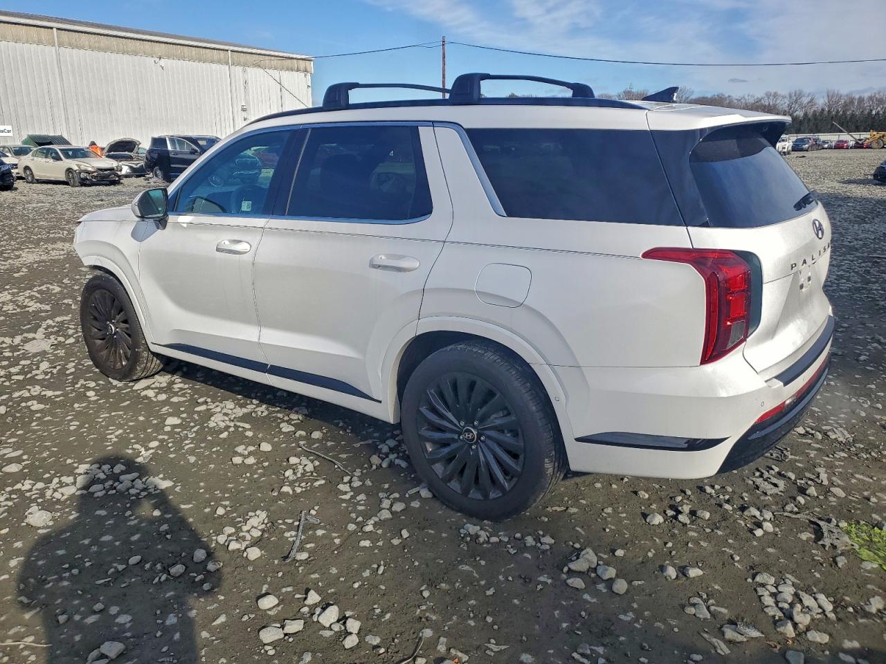 HYUNDAI PALISADE CALLIGRAPHY