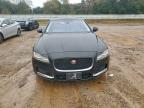 Lot #3319140272 2016 JAGUAR XF PREMIUM