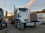 Lot #3309364989 2009 PETERBILT 365