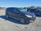 Lot #3312476619 2013 FORD ESCAPE SEL