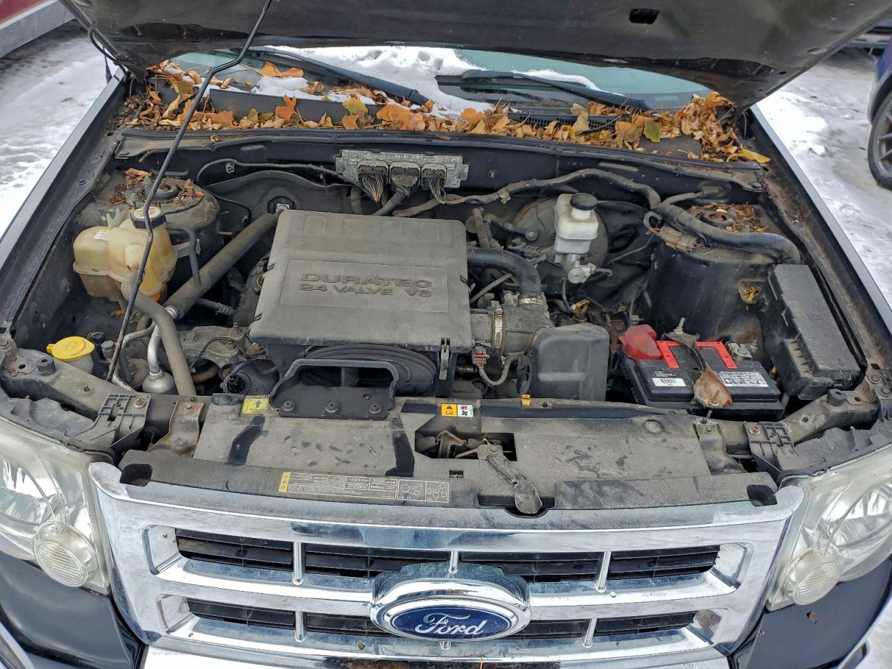 Lot #3311632218 2009 FORD ESCAPE LIM