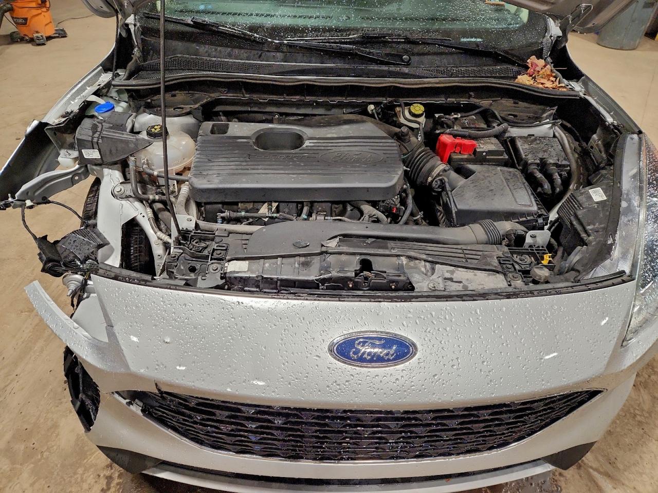 Lot #3305397343 2020 FORD ESCAPE SEL