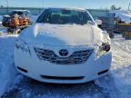 Lot #3315886161 2008 TOYOTA CAMRY HYBR