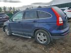 Lot #3309405979 2010 HONDA CR-V EXL