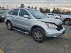 Lot #3304670952 2010 HONDA CR-V EXL