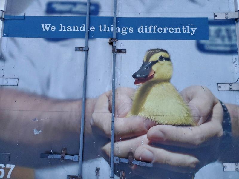 2016 HINO 258/268 #3317002223