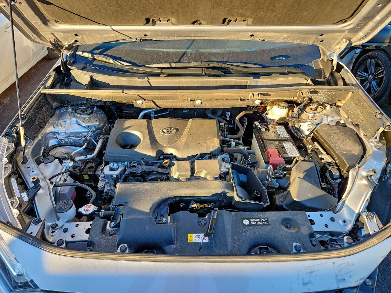 Lot #3303647928 2025 TOYOTA RAV4 LE