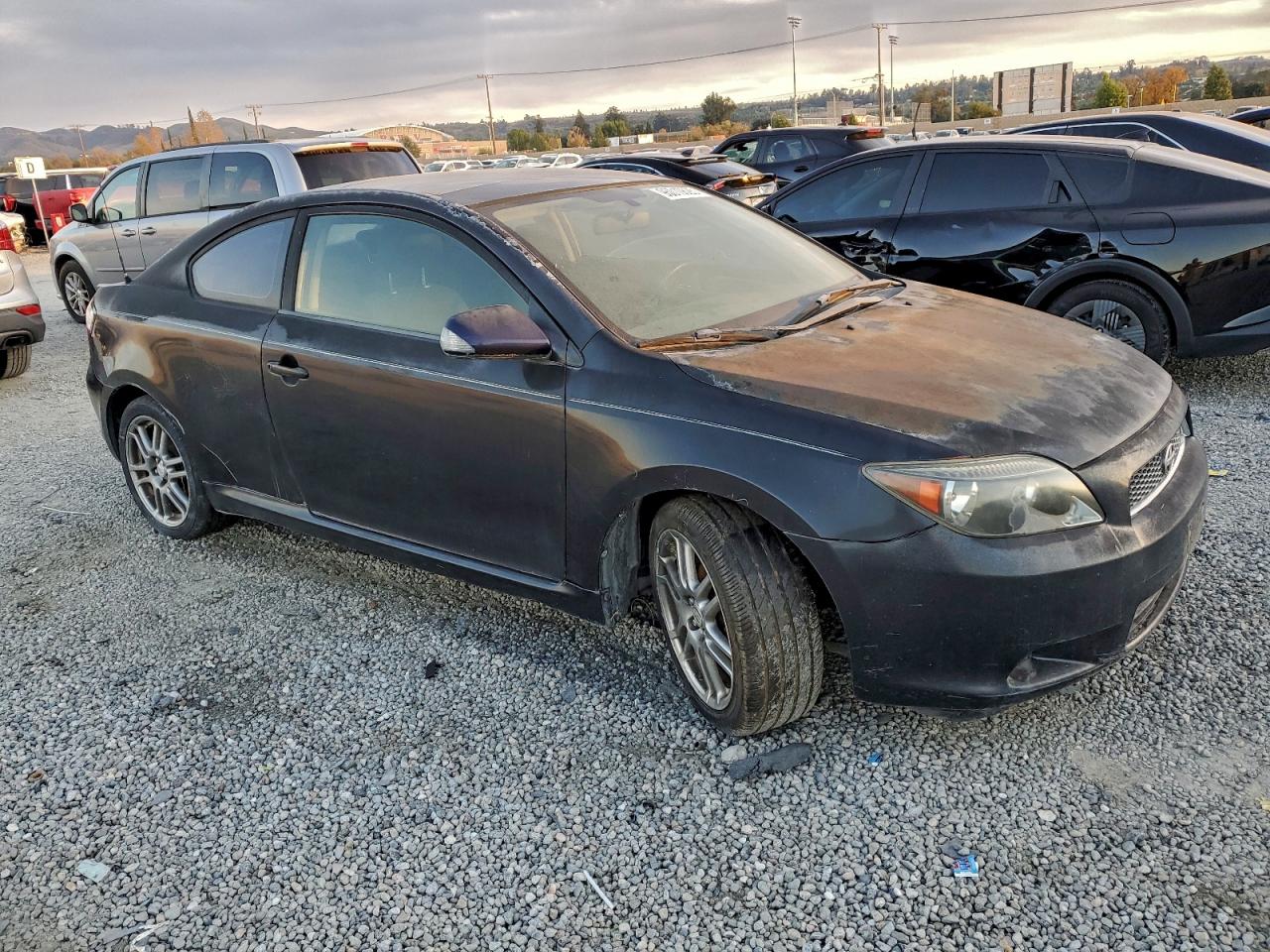 Lot #3304170458 2009 TOYOTA SCION TC