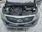 Lot #3303772420 2015 KIA SPORTAGE L