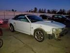 Lot #3304670957 2003 FORD MUSTANG GT