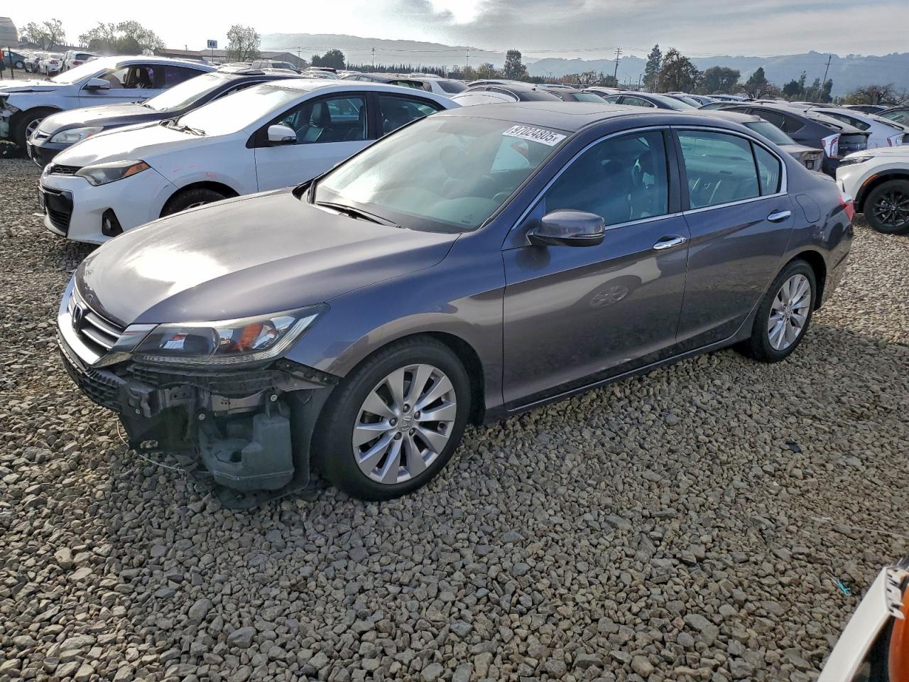 Lot #3318017480 2014 HONDA ACCORD EX