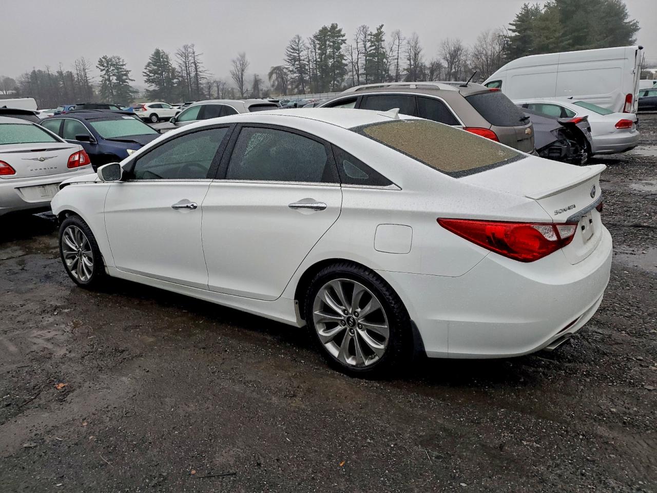 Lot #3302852891 2013 HYUNDAI SONATA SE