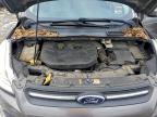 Lot #3305381331 2014 FORD ESCAPE SE