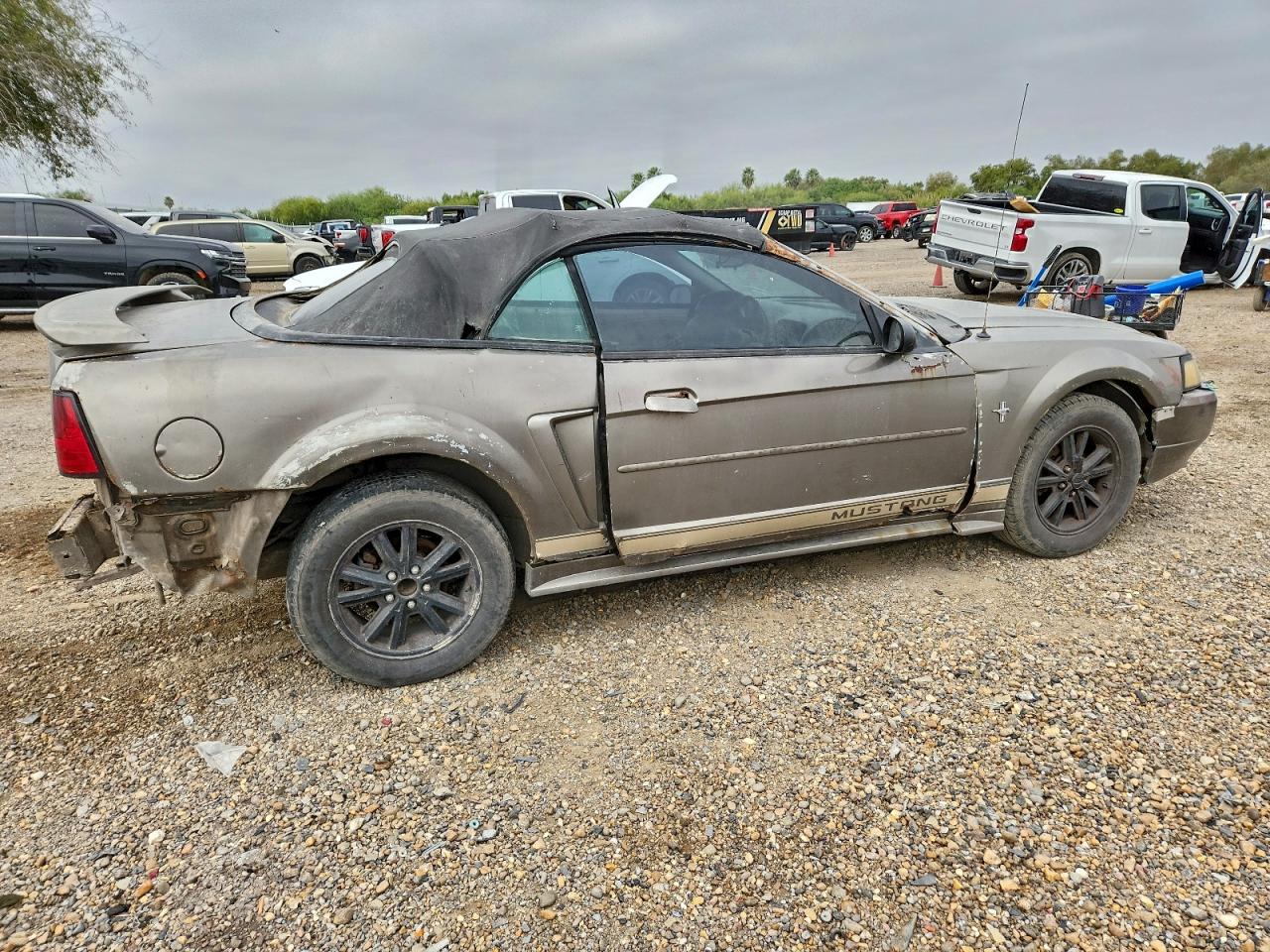 Lot #3318071403 2002 FORD MUSTANG