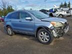 Lot #3317433613 2009 HONDA CR-V EXL