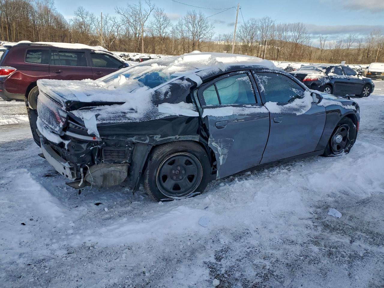 Lot #3318871949 2017 DODGE CHARGER PO