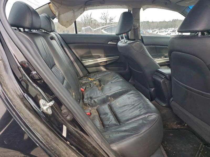 2009 HONDA ACCORD EXL #3309568554