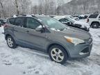 Lot #3302649038 2013 FORD ESCAPE SE