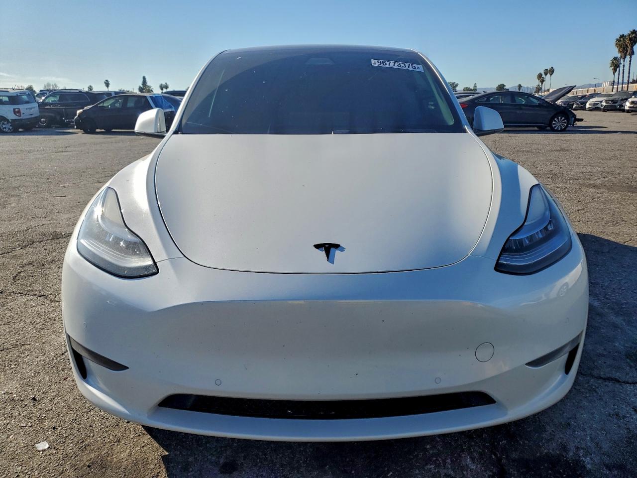 Lot #3317056999 2021 TESLA MODEL Y