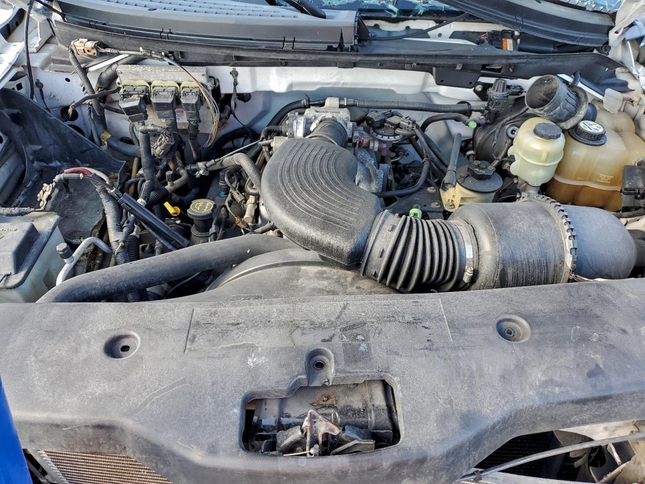 Lot #3315949100 2005 FORD F150