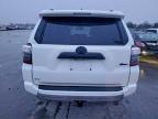 Lot #3305493110 2024 TOYOTA 4RUNNER SR