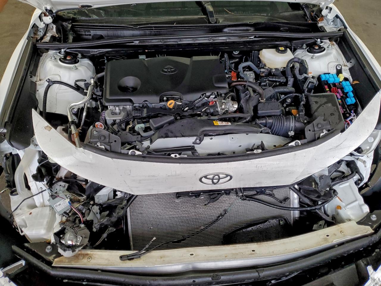 Lot #3309527589 2025 TOYOTA CAMRY LE