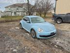 Lot #3311591759 2014 VOLKSWAGEN BEETLE