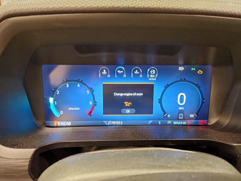 2025 FORD F150 XLT #3311594763