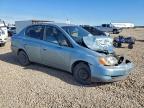 Lot #3310539048 2002 TOYOTA ECHO