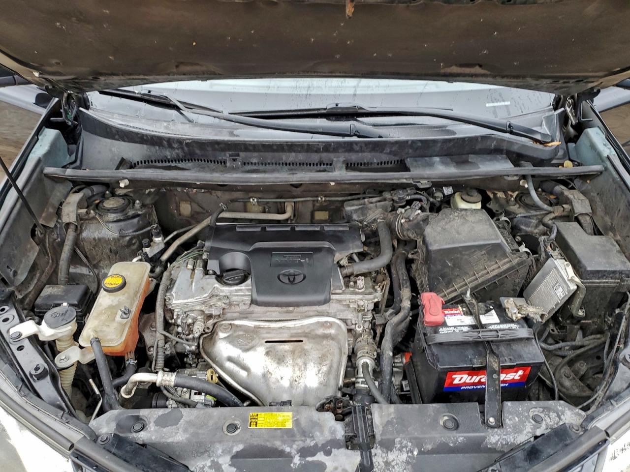 Lot #3305291311 2014 TOYOTA RAV4 XLE