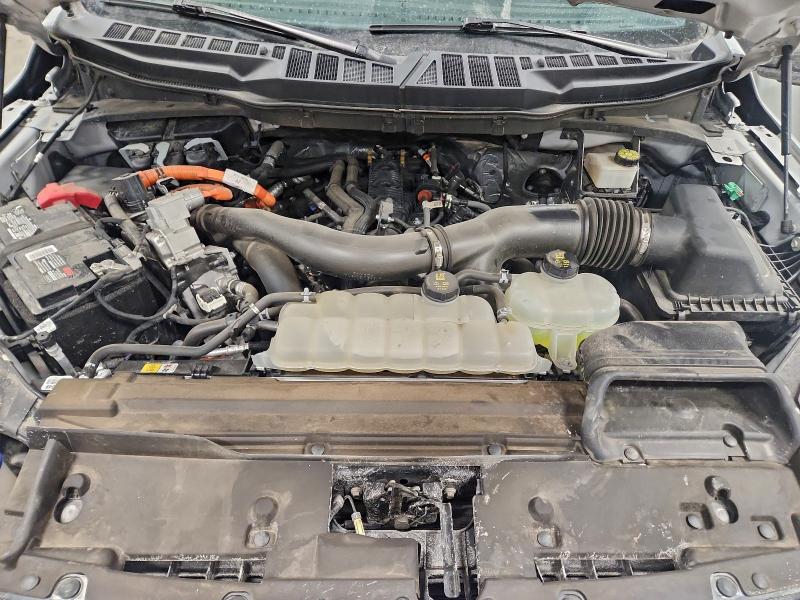 2024 FORD F150 XLT #3311594764