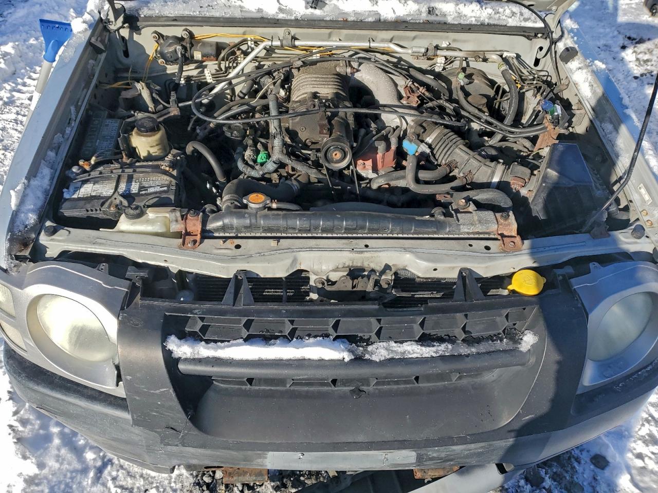 Lot #3315970125 2004 NISSAN XTERRA SE