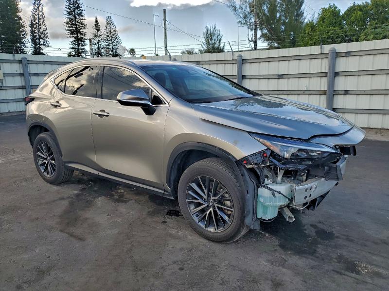 2024 LEXUS NX 250 PRE #3302853928