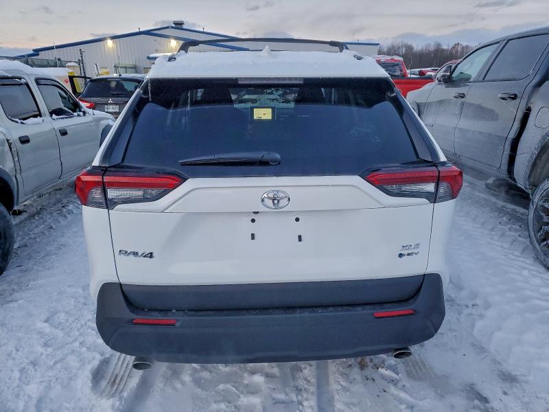 2025 TOYOTA RAV4 XLE #3311462355