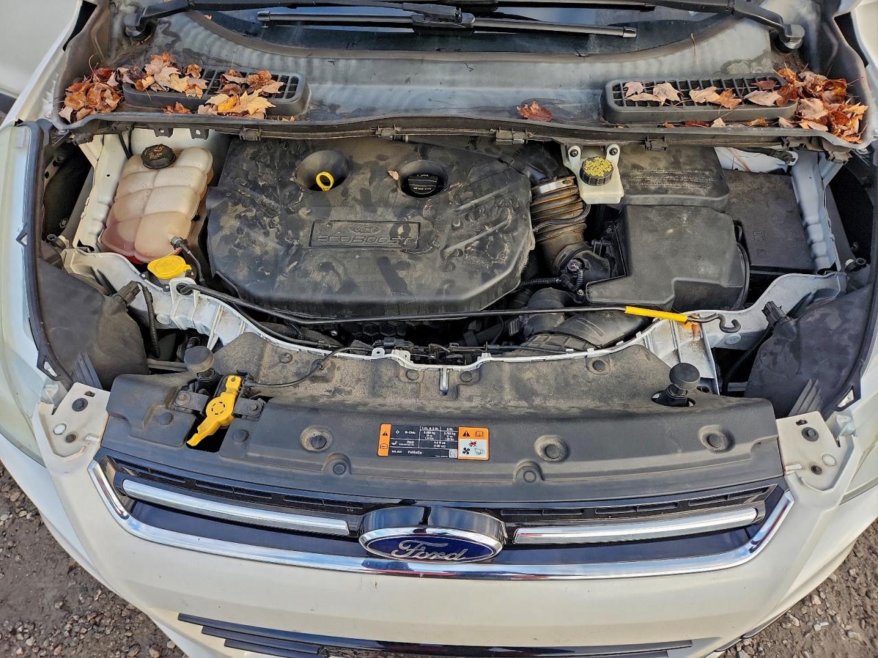 FORD ESCAPE TITANIUM