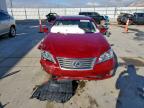Lot #3303049618 2010 LEXUS ES 350