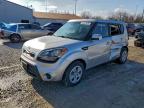 Lot #3316879202 2012 KIA SOUL