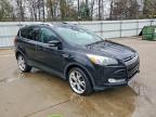 Lot #3316963088 2013 FORD ESCAPE TIT