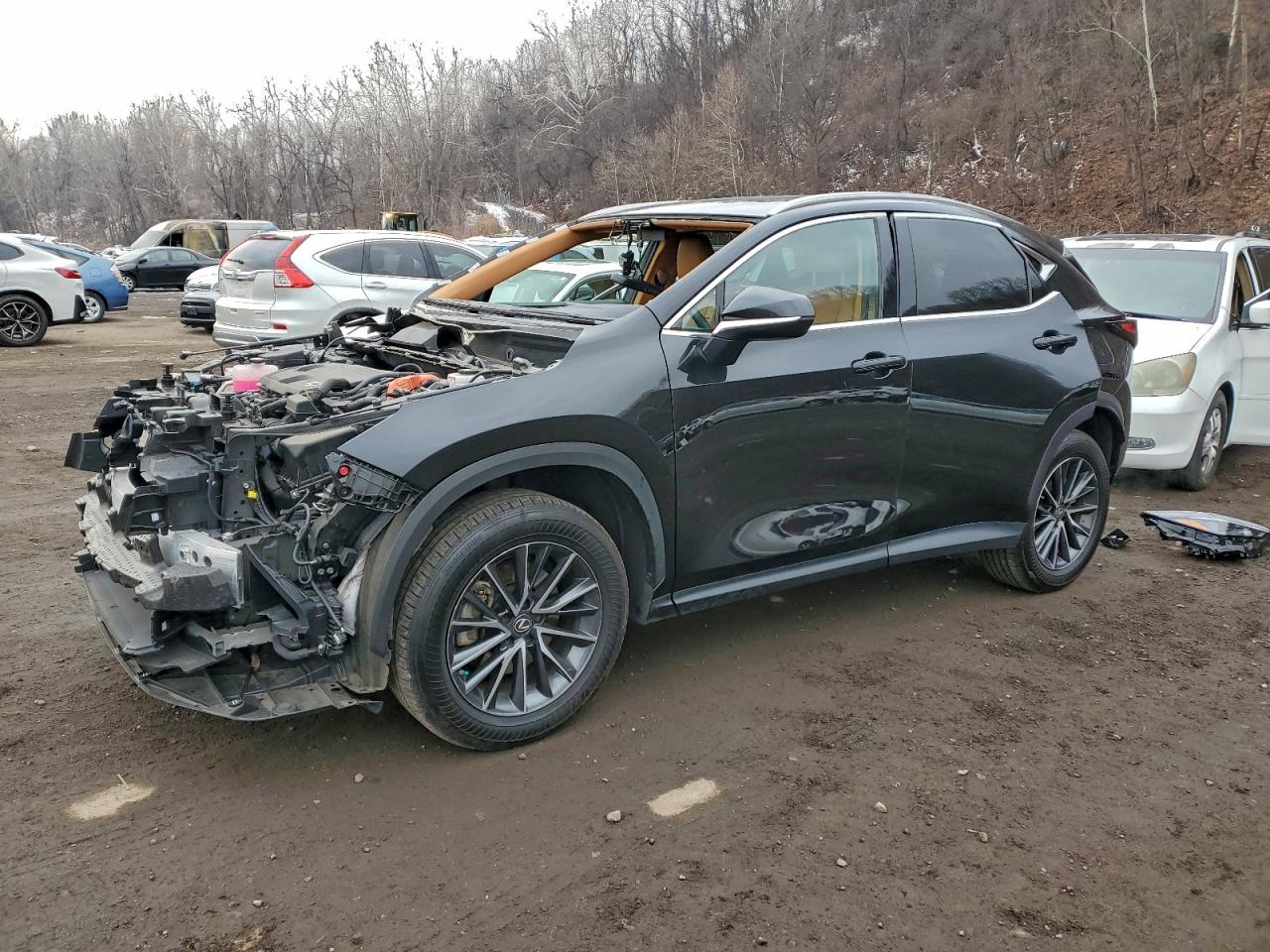 Lot #3311462305 2022 LEXUS NX 350H