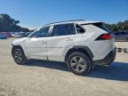 Lot #3309568583 2023 TOYOTA RAV4 LE