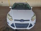 Lot #3308392293 2014 FORD FOCUS SE