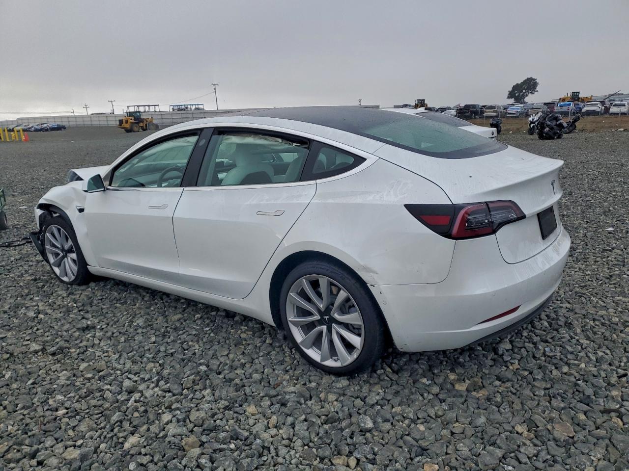 Lot #3318147436 2019 TESLA MODEL 3