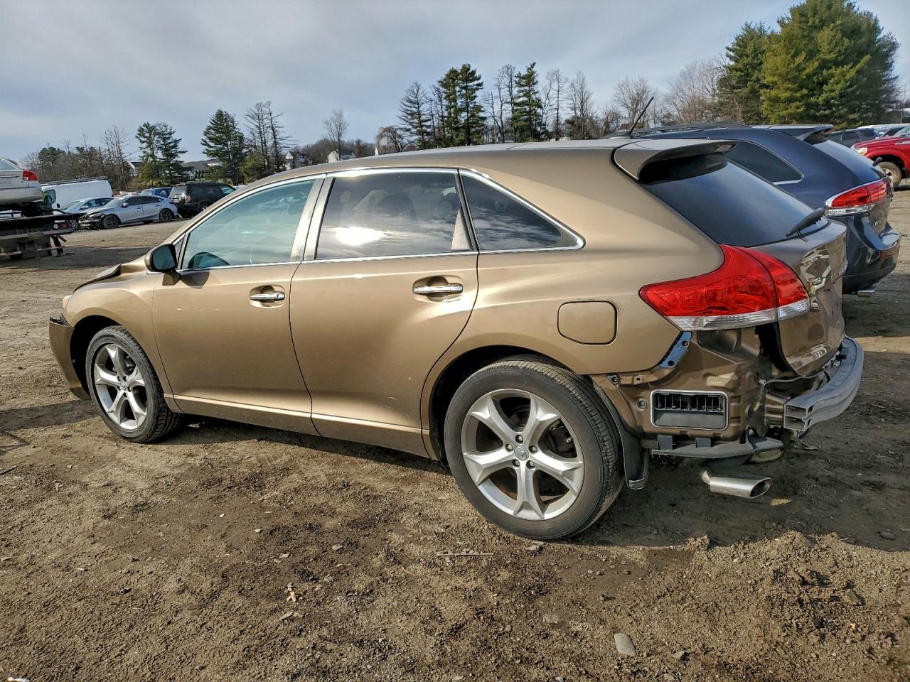 Lot #3315947139 2010 TOYOTA VENZA