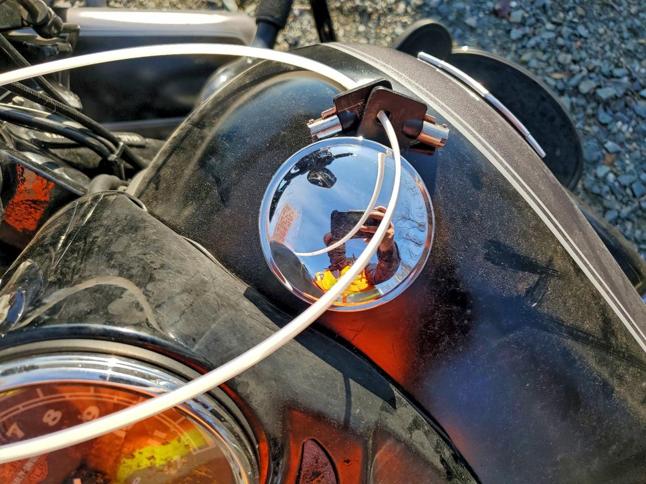 Lot #3316009796 2015 HARLEY-DAVIDSON FLS SOFTAI