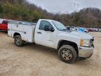 Lot #3305513093 2011 CHEVROLET SILVERADO