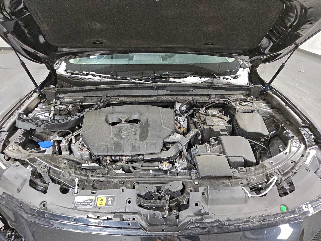 Lot #3316842673 2025 MAZDA CX-50 PREF